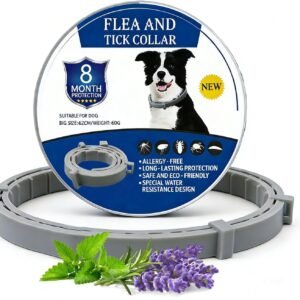 71nfHDzB3LL. AC SL1500 .jpg