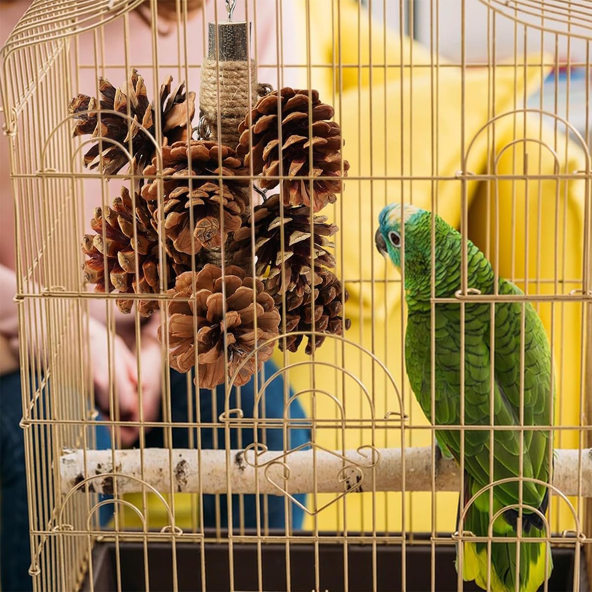 71nfXErgpsL. AC SL1200 .jpg