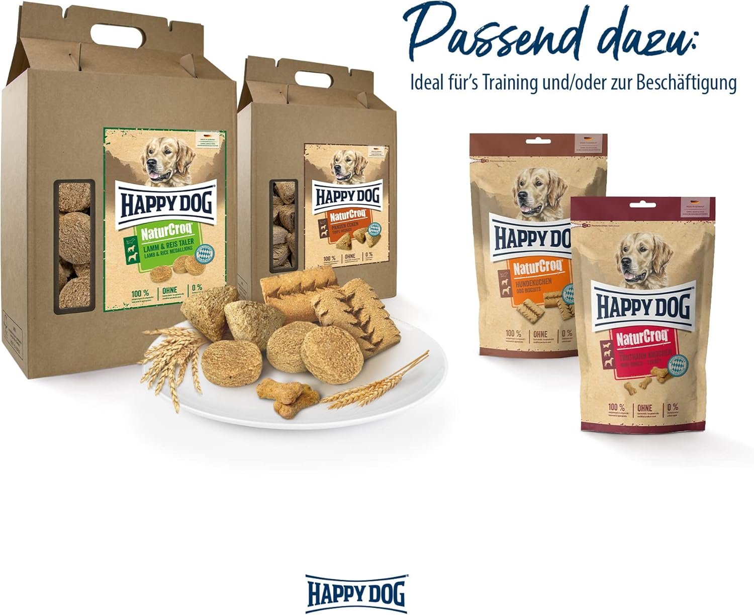 71nosh3VcTL. AC SL1500 .jpg