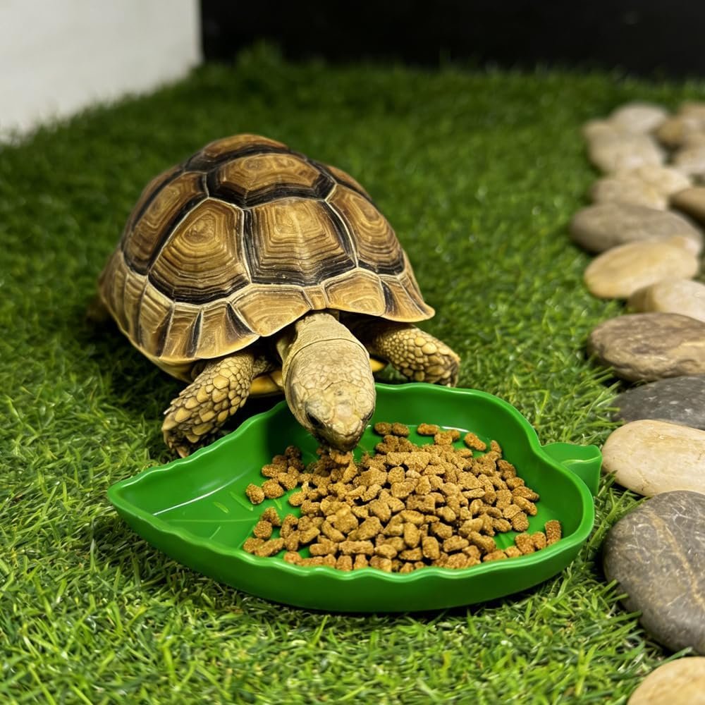 71o8k VUGjL. AC SL1000 .jpg