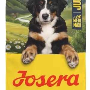 71oF7UVRKeL. AC SL1500 .jpg