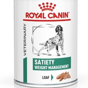 71ovbirOjlL. AC SL1500 .jpg