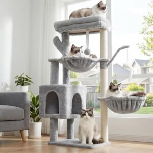 71owJp4WcwL. AC SL1500 .jpg