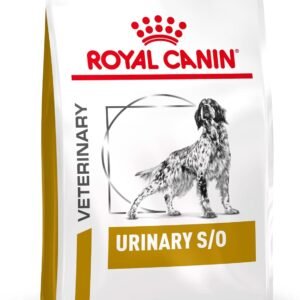 71oyTVZMyOL. AC SL1500 .jpg