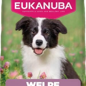 71p5A LTQqL. AC SL1289 .jpg