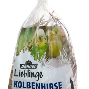 71pGUZ3vNkL. AC SL1500 .jpg