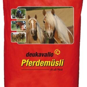 71plSt4ihoL. AC SL1135 .jpg