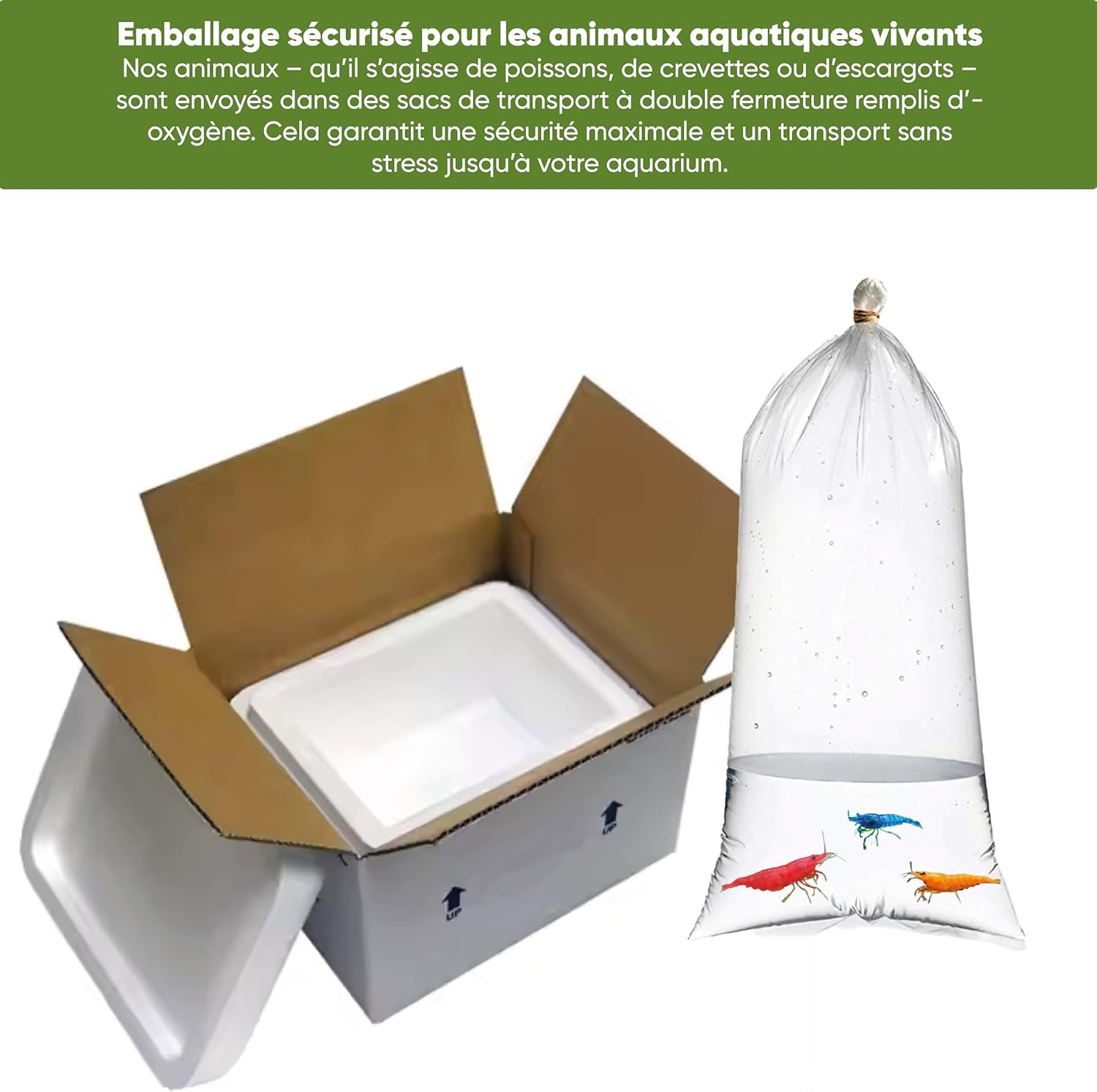 71pvncYbvnL. AC SL1500 .jpg