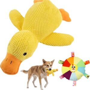 71pyFh4luwL. AC SL1500 .jpg