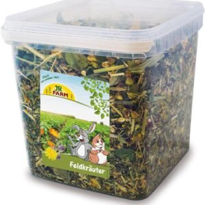 71q1FmLBVJL. AC SL1280 .jpg