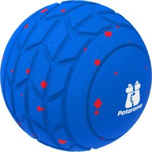 71qQsXzk3gL. AC SL1500 .jpg