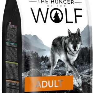 71qR3dpDoL. AC SL1500 .jpg