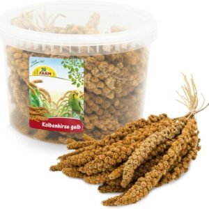 71qTfRFB3KL. AC SL1280 .jpg