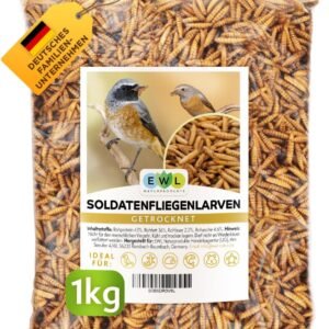 71qWytuzNRL. AC SL1200 .jpg