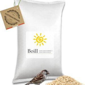 71qY7vplAhL. AC SL1500 .jpg