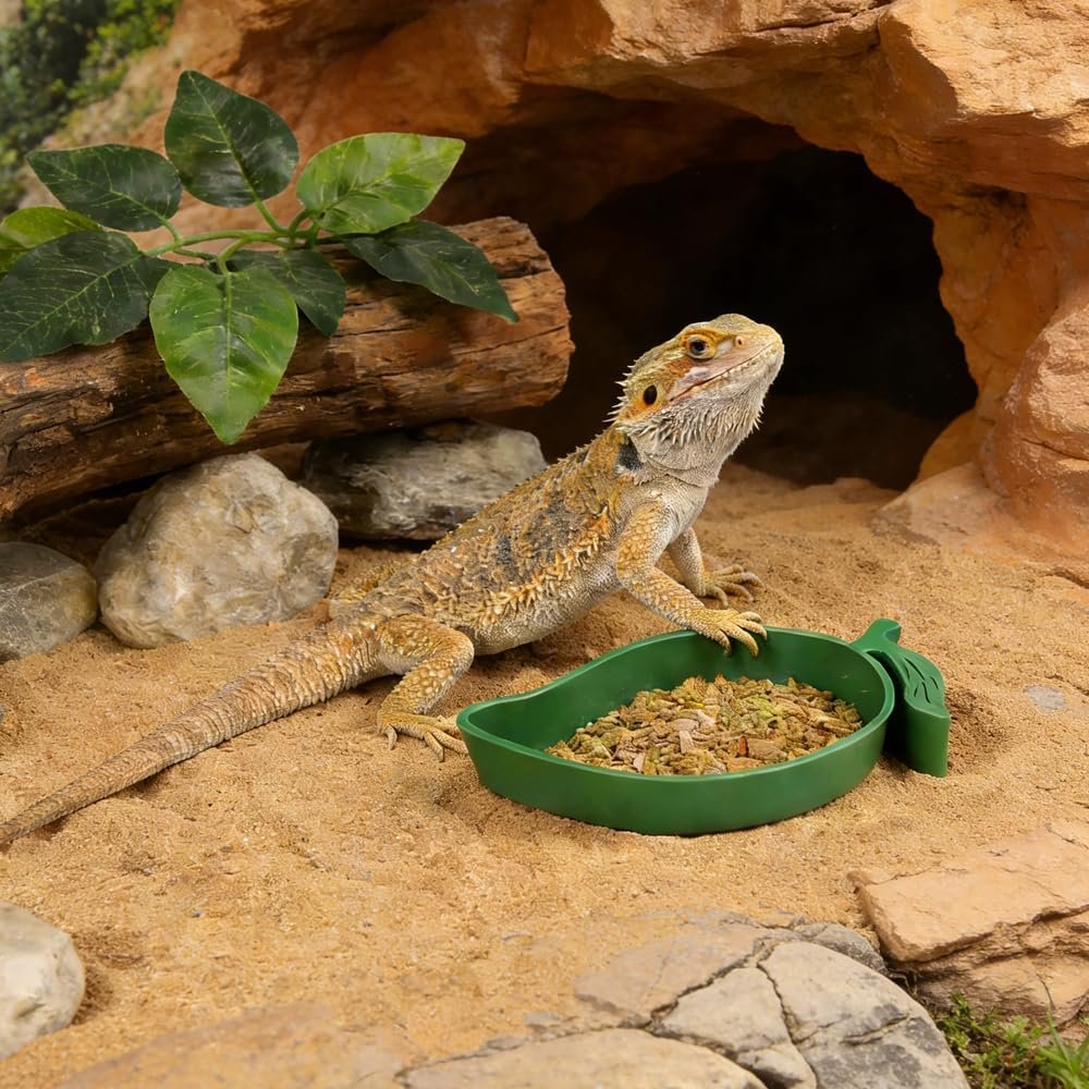 71qZdgoXepL. AC SL1000 .jpg