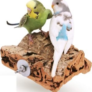 71qro0NNf7L. AC SL1500 .jpg