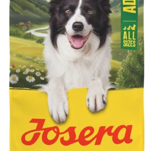 71r2IM7DCML. AC SL1500 .jpg