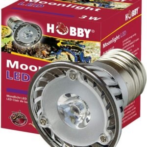 71rCECUxZSL. AC SL1000 .jpg