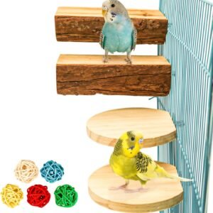 71rSPajEfIL. AC SL1500 .jpg