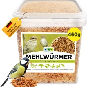 71rgQtc86L. AC SL1500 .jpg