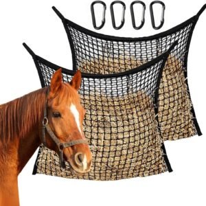 71ruuTQkljL. AC SL1000 .jpg