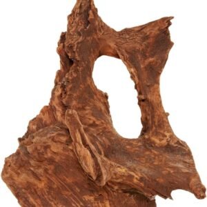 71tIDCIdCL. AC SL1107 .jpg