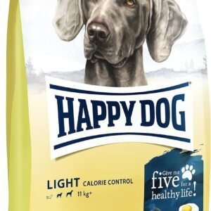 71tcUUFoXL. AC SL1500 .jpg