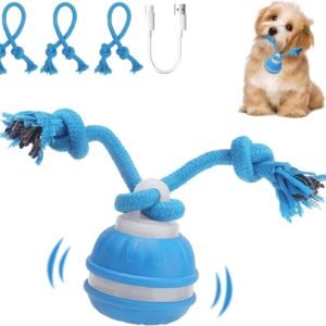 71tpzdLUwFL. AC SL1500 .jpg