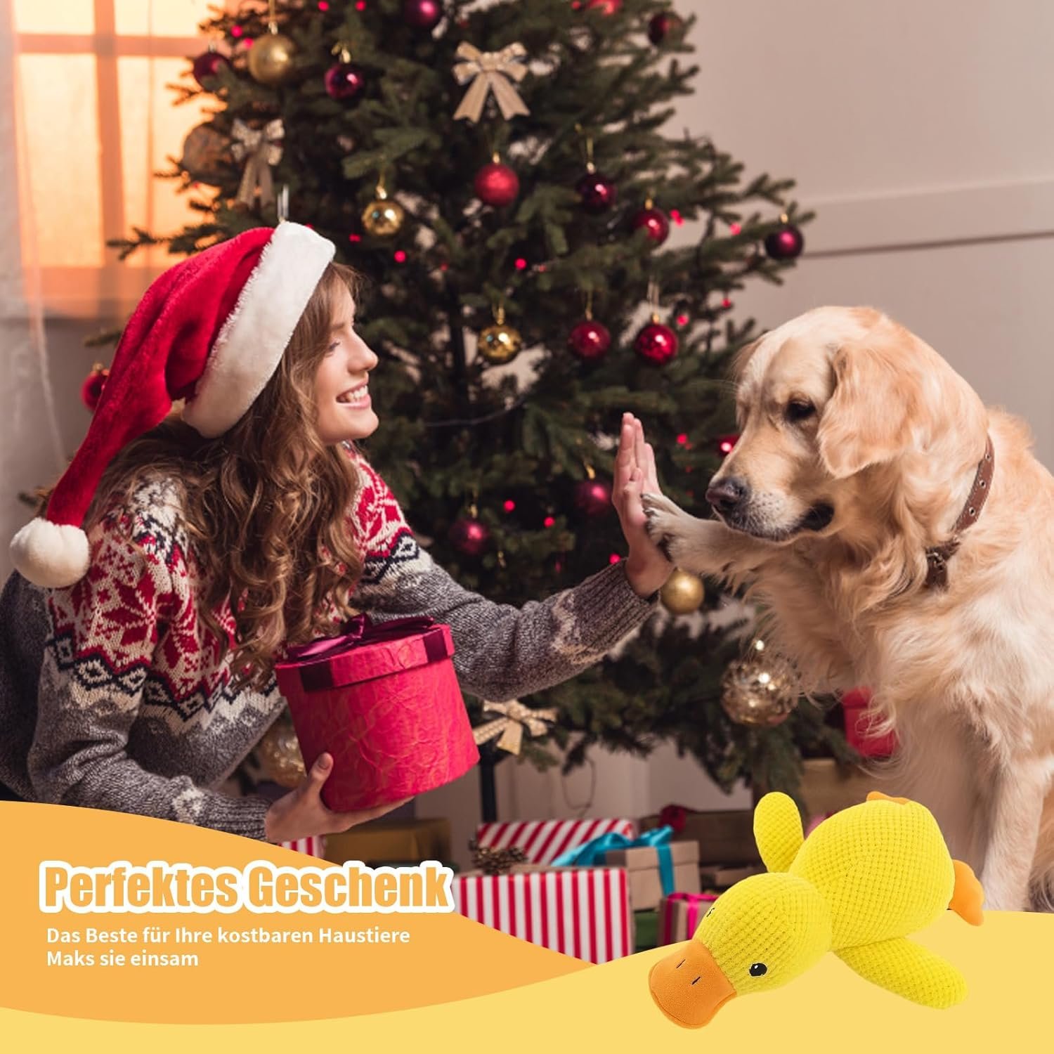 71tyklaVstL. AC SL1500 .jpg