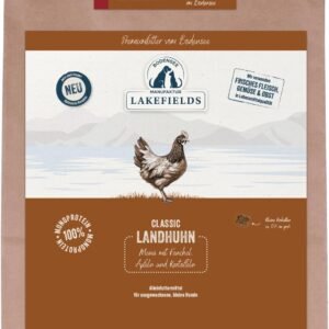 71uM1tBntML. AC SL1500 .jpg