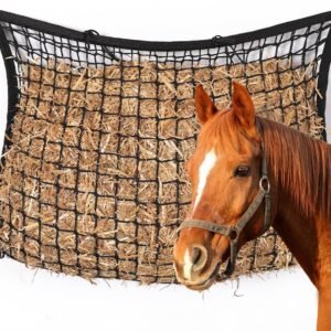 71uWBvrcv1L. AC SL1000 .jpg