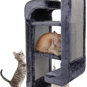 71v4llsSqPL. AC SL1280 .jpg