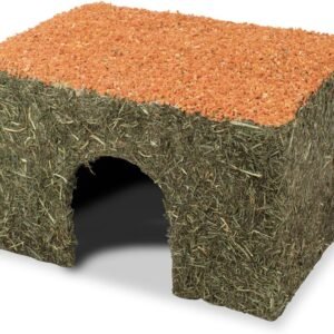 71vbwpMXQL. AC SL1280 .jpg