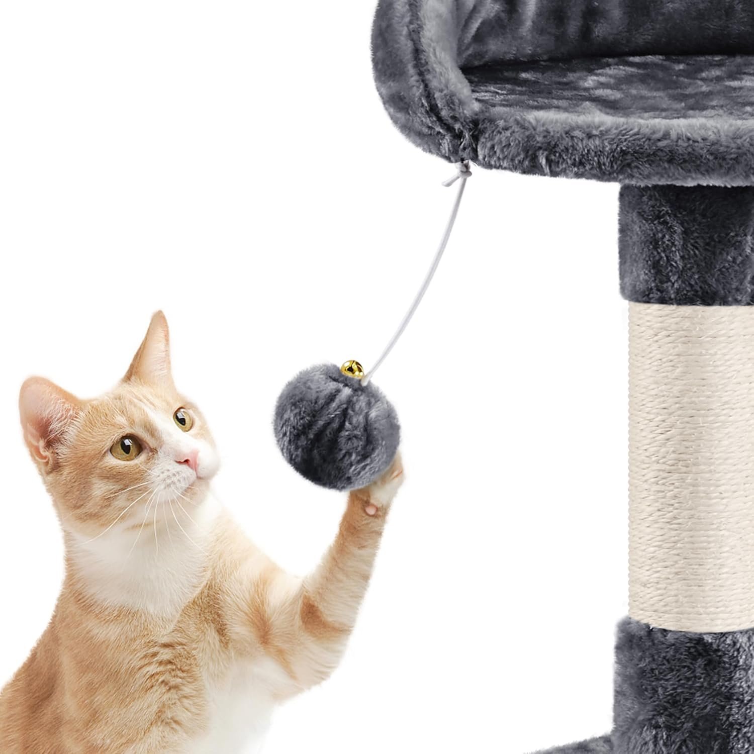 71vmvbE z3L. AC SL1500 .jpg