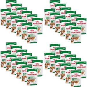 71vvinhd9TL. AC SL1080 .jpg