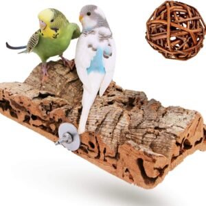 71wCfkgHrbL. AC SL1500 .jpg