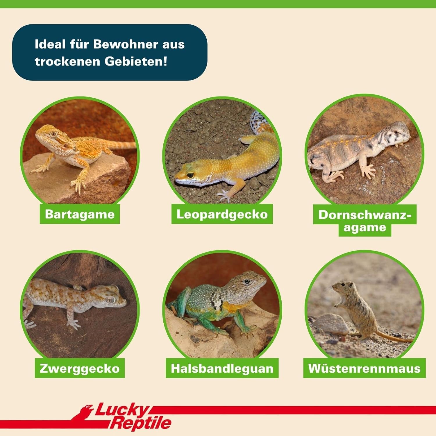 71wQ5Iyzm4L. AC SL1500 .jpg