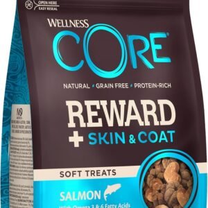 71wUH20ikeL. AC SL1500 .jpg