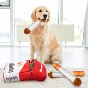 71wbZ J5DSL. AC SL1500 .jpg