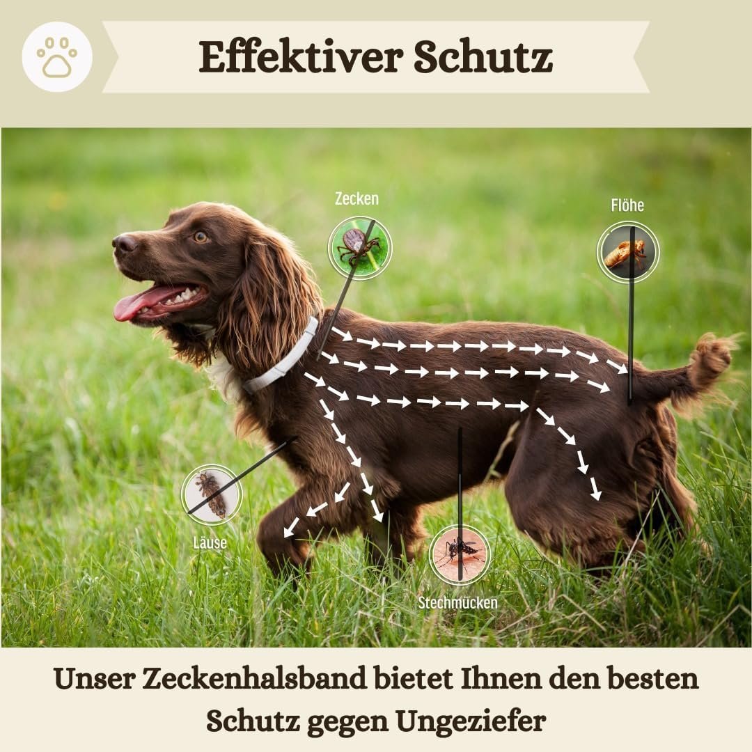 71wctbsD9L. AC SL1080 .jpg