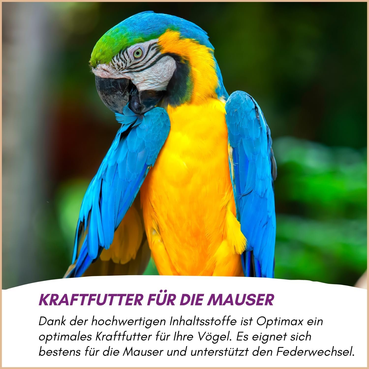 71xAmp5KvbL. AC SL1500 .jpg