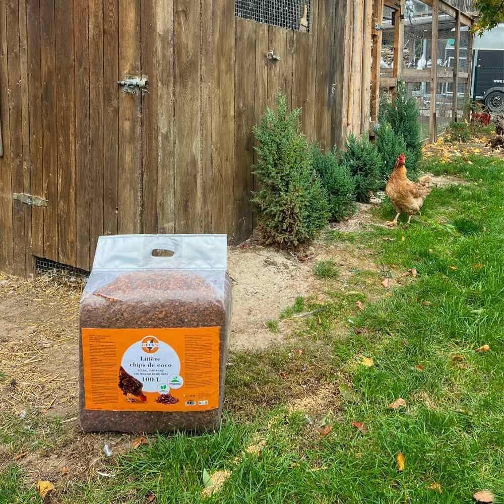 71xTDVih0xL. AC SL1000 .jpg