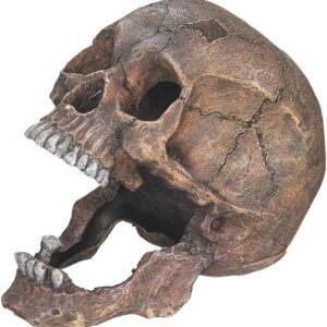 71xsKxLkaGL. AC SL1299 .jpg