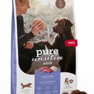 71ySaVgw15L. AC SL1500 .jpg