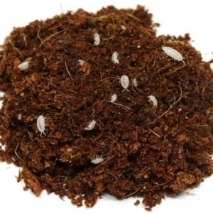 71ypPb0HFpL. AC SL1000 .jpg