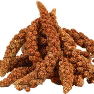 71yxpBgP7L. AC SL1500 .jpg