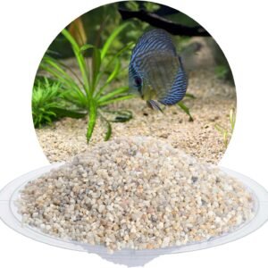 81 2XQO4wvL. AC SL1500 .jpg