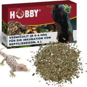 81 9PrMN5UL. AC SL1500 .jpg