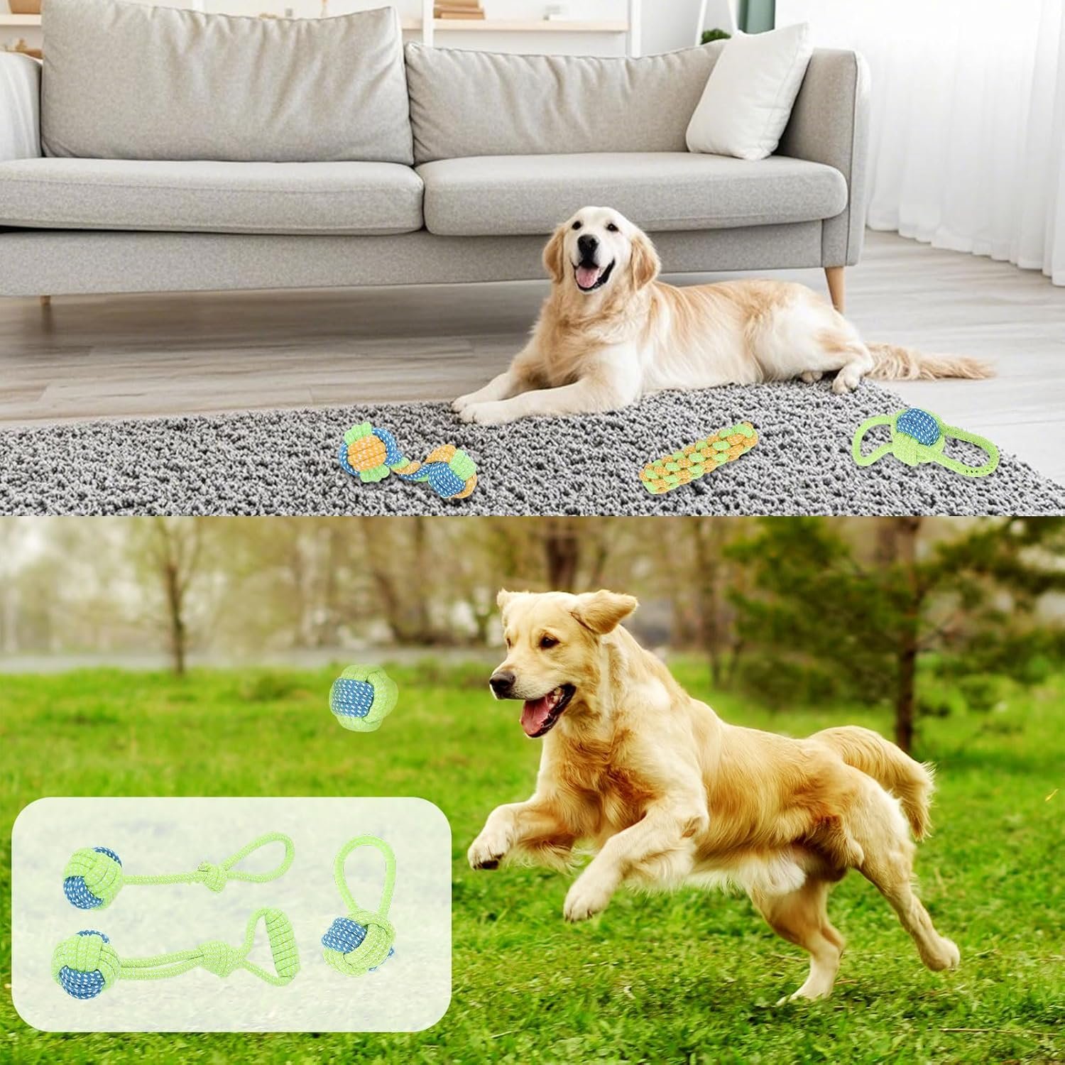 81 ewQqJIsL. AC SL1500 .jpg